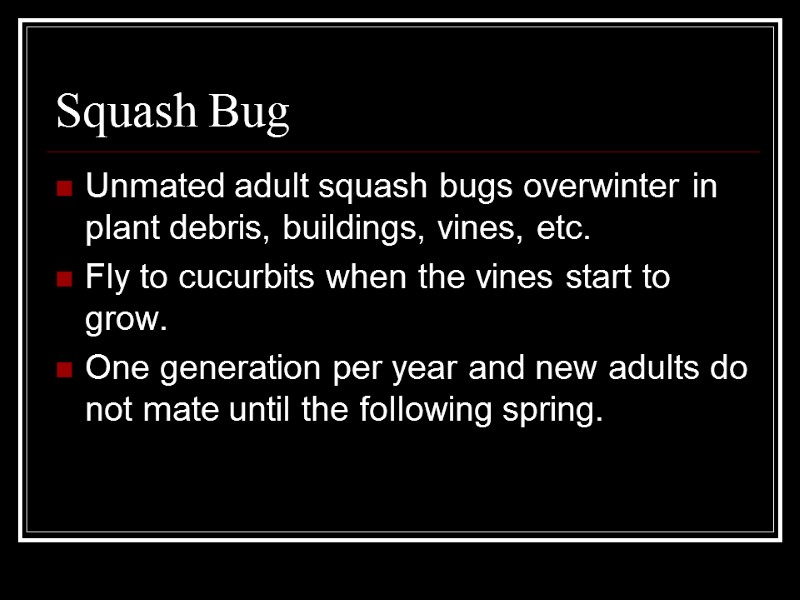 Squash Bug Unmated adult squash bugs overwinter in plant debris, buildings, vines, etc. Fly